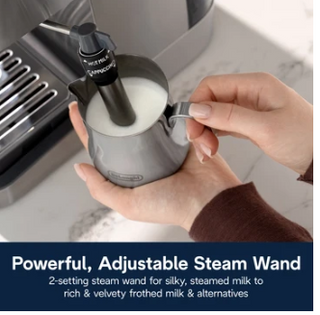 Delonghi - Classic Manual Pump Espresso Coffee Machine - EM450.M