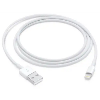 Apple Lightning to USB Cable (1 m)