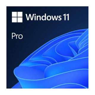 Microsoft Windows 11 Pro (Professional) 64-bit