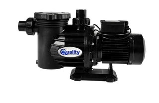 Quality Swimflo 2 Pool Pump 0.75kw Sand Filter Pump  (Black)