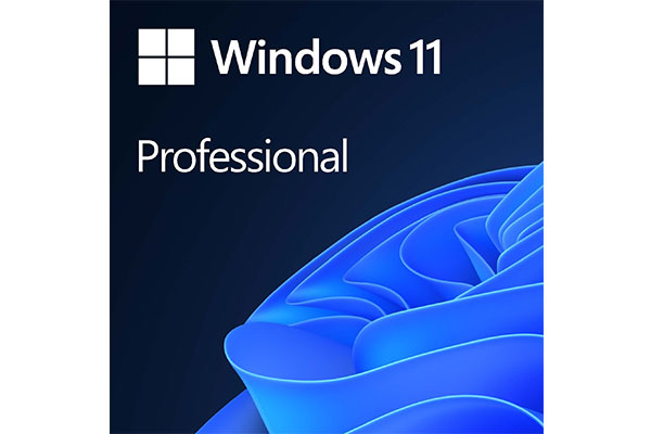 Microsoft Windows 11 Pro (Professional) 64-bit