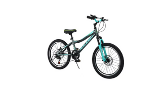 Raleigh  20"  Delta 2.0 Mountain Bike