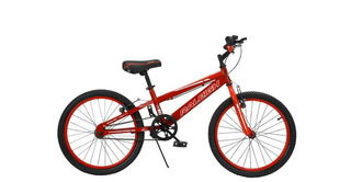 Raleigh 20" Enduro Boys Mountain Bicycle