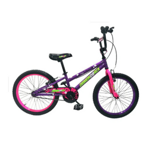 Diamondback Bike 20-Inch Girls Della Purple BMX Bike