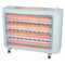Sunbeam Quartz Heater With Fan And Humidifier SBH-6000
