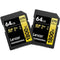 Lexar 64GB Professional 1800x UHS-II SDXC Memory Card (2 Pack)