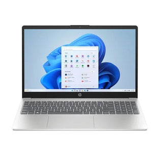 HP 15s Celereon N100 8GB 256GB SSD  W11 Home Silver
