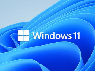 Microsoft Windows 11 Professional Edition