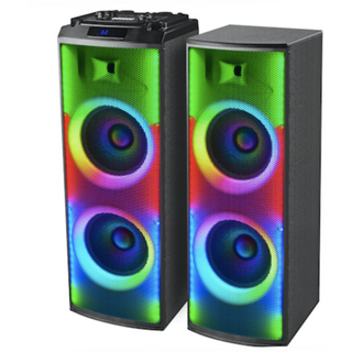 JVC Dual Active Speaker XS-N8213PB