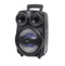 Sinotec Portable Party Speaker (BTS-805)