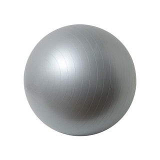 Volkano Active 65cm Anti Burst Gym Ball VA-1011-PK