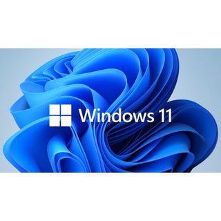 Windows 11 Pro 64 Bit DSP- Physical Product