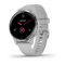 Garmin Venu 2S Silver Bezel with Mist Grey Case and Silicone Band 010-02429-12