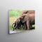 A2 (594 x 420mm) Premium Stretched Blocked Canvas Prints