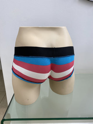 Transgender Flag Briefs