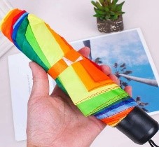 Rebel Rainbow Umbrella